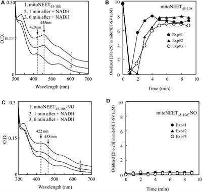 Nitric oxide reversibly binds the reduced [2Fe-2S] cluster in mitochondrial outer membrane protein mitoNEET and inhibits its electron transfer activity